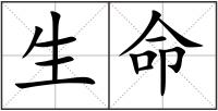 生命