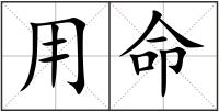 用命