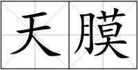 天膜
