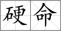 硬命