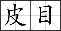 皮目