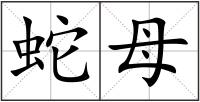 蛇母