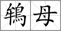 鴾母