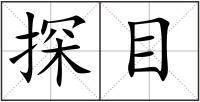 探目