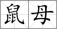 鼠母