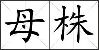 母株