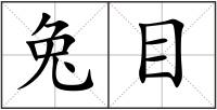 兔目