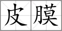 皮膜