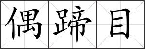 偶蹄目