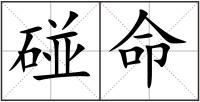 碰命