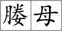 媵母