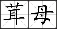茸母