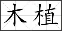 木植