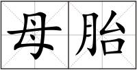 母胎