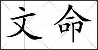 文命
