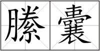 縢囊