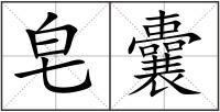 皂囊