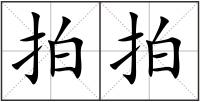 拍拍