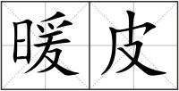 暖皮