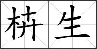 枿生