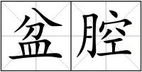 盆腔
