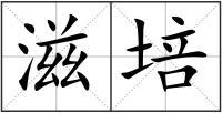 滋培