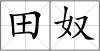 田奴