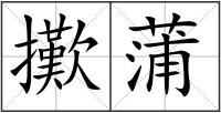 擹蒲