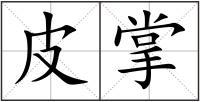 皮掌