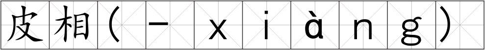 皮相(-ｘｉàｎｇ)