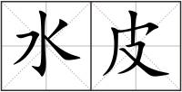 水皮