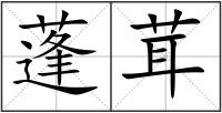 蓬茸