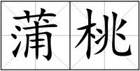 蒲桃
