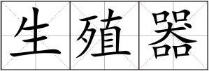 生殖器