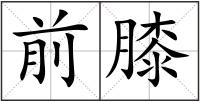 前膝