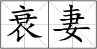 衰妻