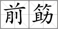 前筯