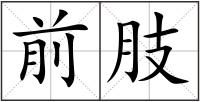 前肢