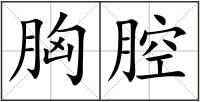胸腔