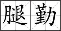 腿勤