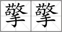 擎擎