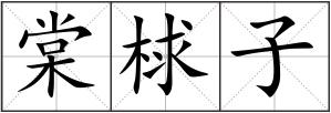 棠梂子