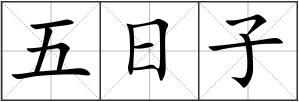 五日子