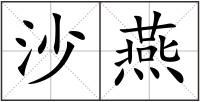 沙燕