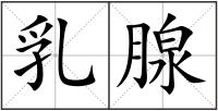乳腺
