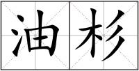 油杉