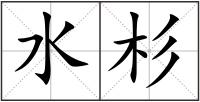 水杉