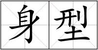 身型