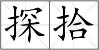 探拾