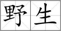 野生